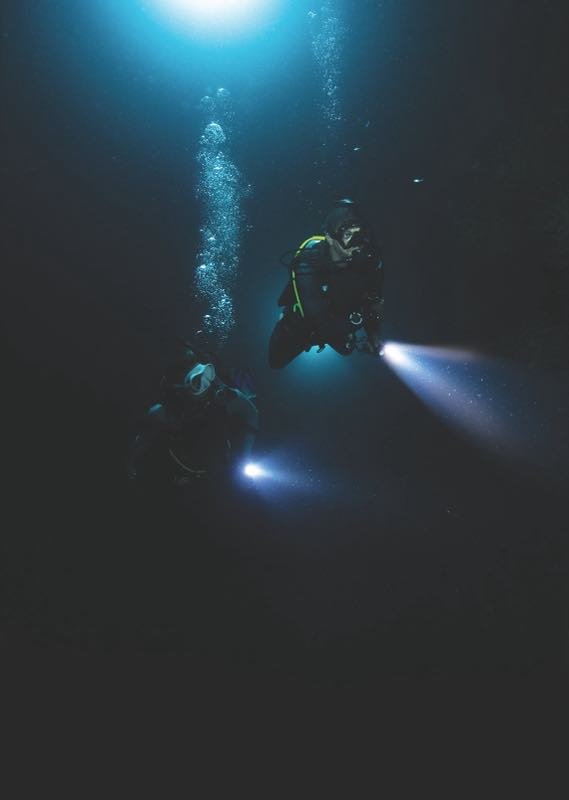 A diver on a night dive with a torch
