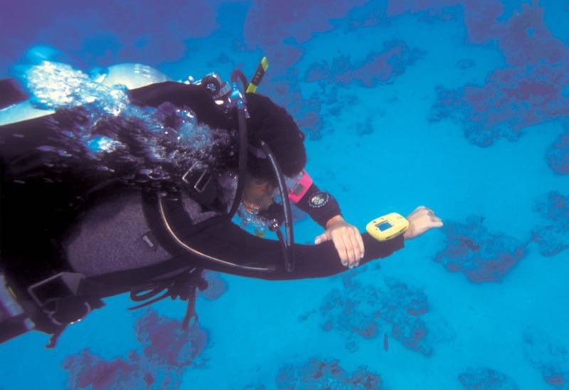 PADI ReActivate course artwork