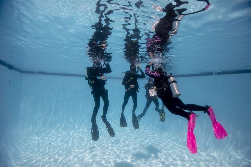 Instructor running a skills refresher in the pool