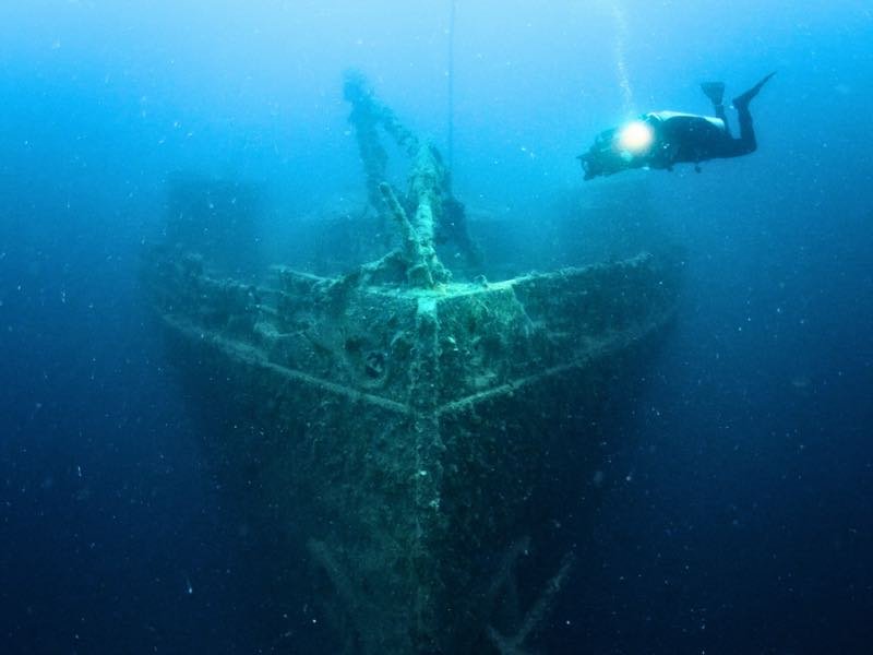 The Rosalie Moller wreck, covered in soft coral
